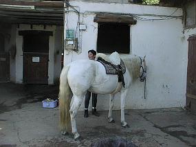 pic00004