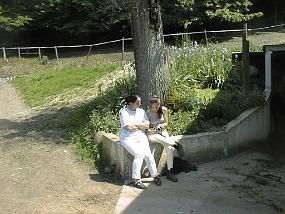 pic00007