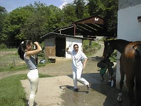 pic00011