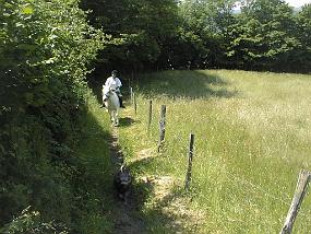 pic00014
