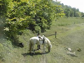 pic00023