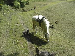 pic00025