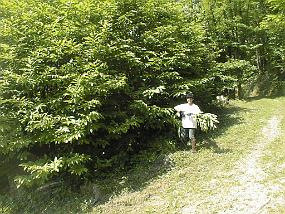 pic00028