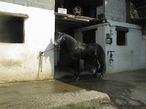 pic00035