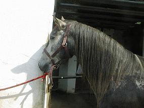 pic00037