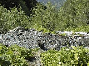 pic00010