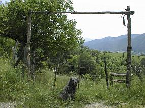 pic00035
