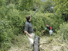 pic00042