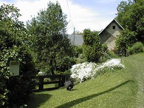 pic00048