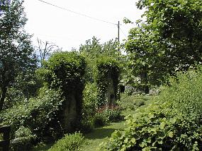 pic00050
