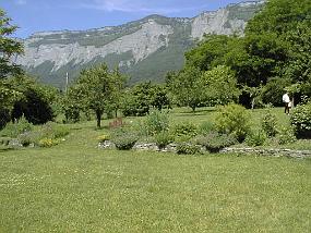 pic00024