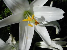 dscn0404