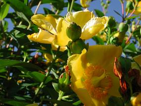 dscn0418