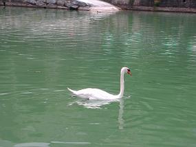 dscn0843