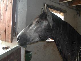 dscn0869