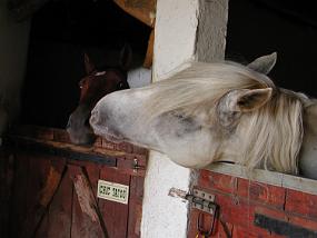 dscn0877