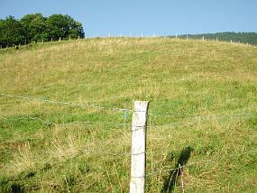 dscn0994