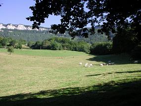 dscn1154