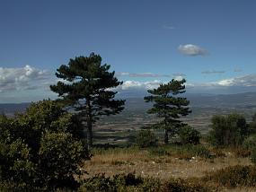 DSCN1643