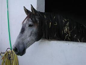 DSCN1772