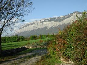 DSCN1778