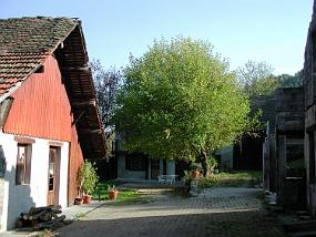 DSCN1816