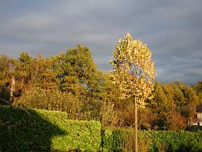 DSCN1840
