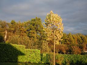 DSCN1843