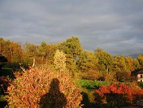 DSCN1850