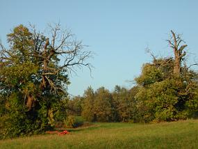 DSCN1875