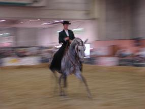 DSCN1893