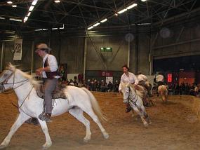 DSCN1912