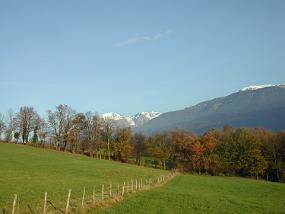 DSCN1951