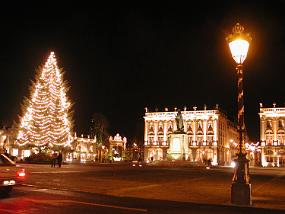 DSCN1981