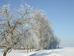 DSCN2038