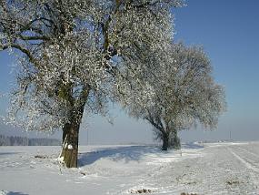 DSCN2044