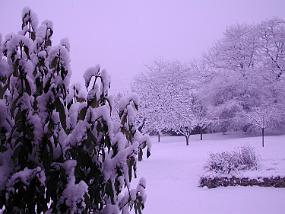 DSCN2234