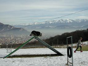 DSCN2287