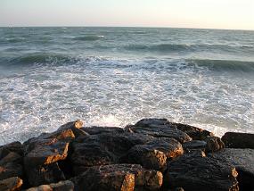 DSCN2337