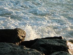 DSCN2341