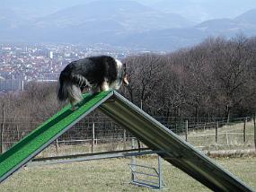 DSCN2542