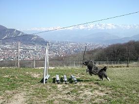 DSCN2550