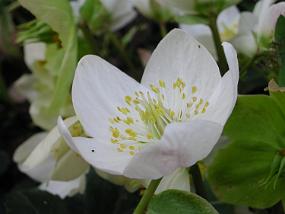 DSCN2651