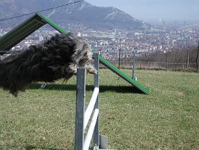 DSCN2668