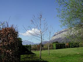 DSCN2872