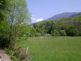 DSCN2988