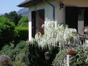 DSCN3091