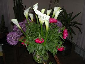 DSCN3137
