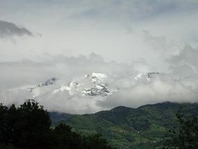 DSCN3142