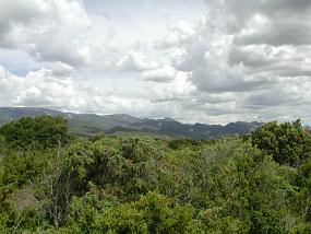 DSCN3324